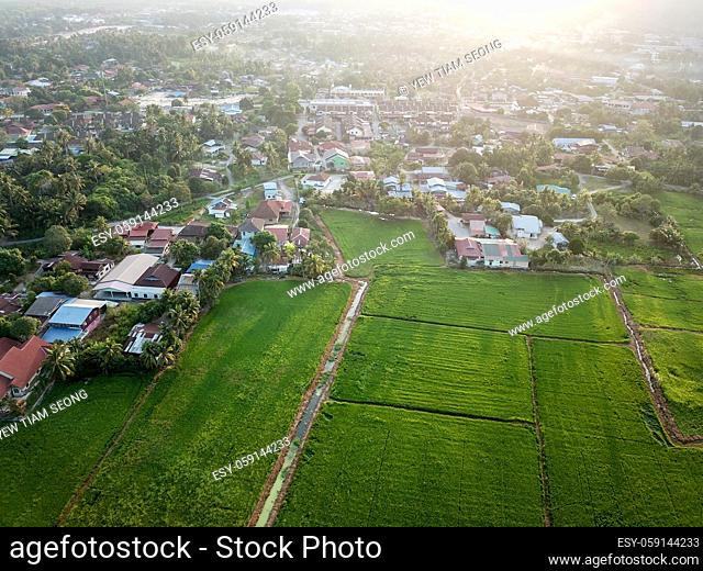 Aerial view Malays village near paddy field in morning