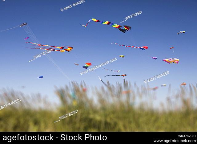 Colorful kites flying at a kite festival