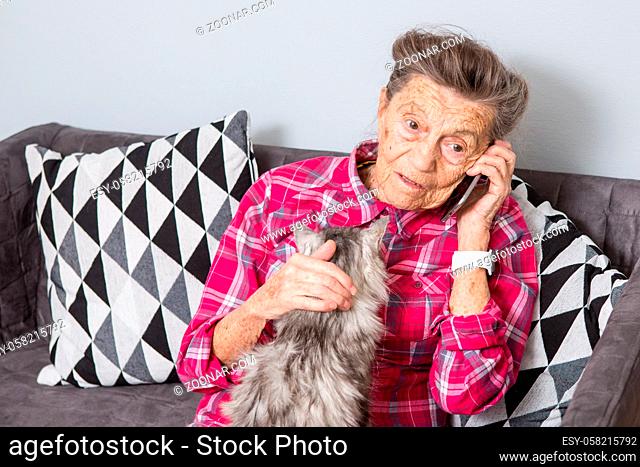 Theme old person uses technology. Mature contented joy smile active gray hair Caucasian wrinkles woman sitting home living room on sofa with fluffy cat using...