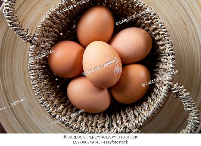 organic eggs from a farm in the Mediterranean