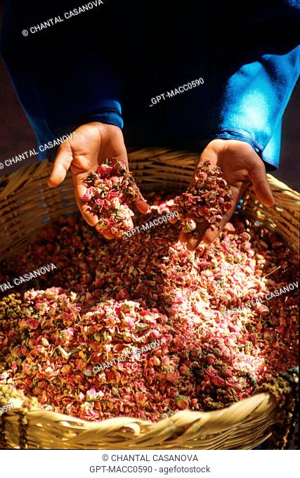 BASKET FULL OF DRIED ROSEBUDS FROM THE DADES VALLEY, USED IN TRADITIONAL MOROCCAN BEAUTY AND BODY CARE, HERB SHOP IN THE BAZAAR OF MARRAKECH, MOROCCO, AFRICA