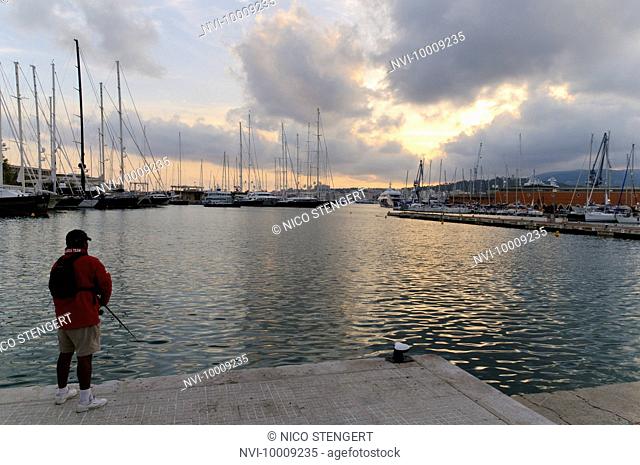 Evening at the port of Palma de Majorca, Majorca, Balearic Islands, Spain, Europe