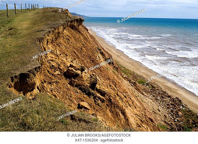 Coastal erosion in the UK  Soft cliff collapsing and falling into the sea