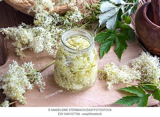 A jar filled with meadowsweet blossoms and alcohol, to prepare homemade tincture