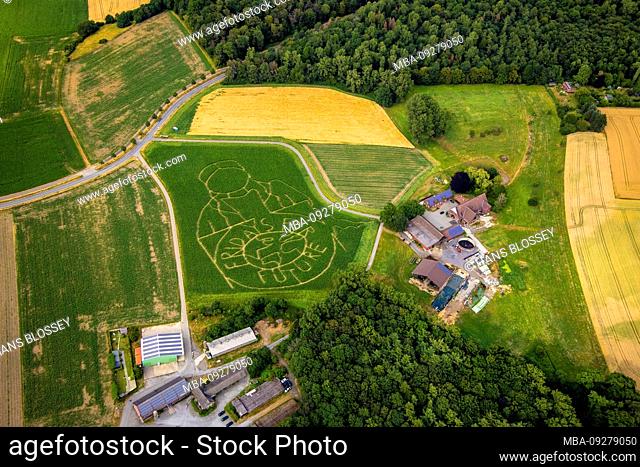 Aerial photograph of the FRIDAYS FOR FUTURE emblem with climate activist Greta Thunberg as corn maze on a field in Cappenberg, Selm, Ruhr area