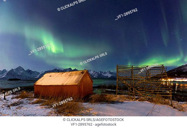 The Northern Lights paints the sky above the Nature Reserve Spaknesora. Spaknesora naturreservat, Djupvik, Lyngenfjord, Lyngen Alps, Troms, Norway, Lapland
