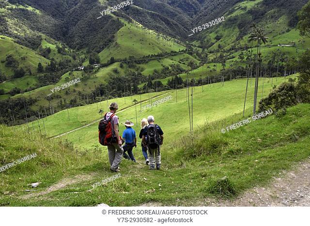 People trekking in Valle de Cocora near Salento, Colombia, South America