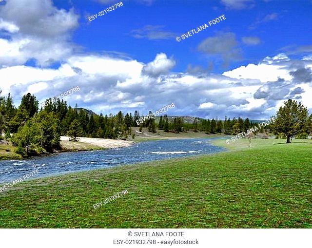mountain valley with river and trees