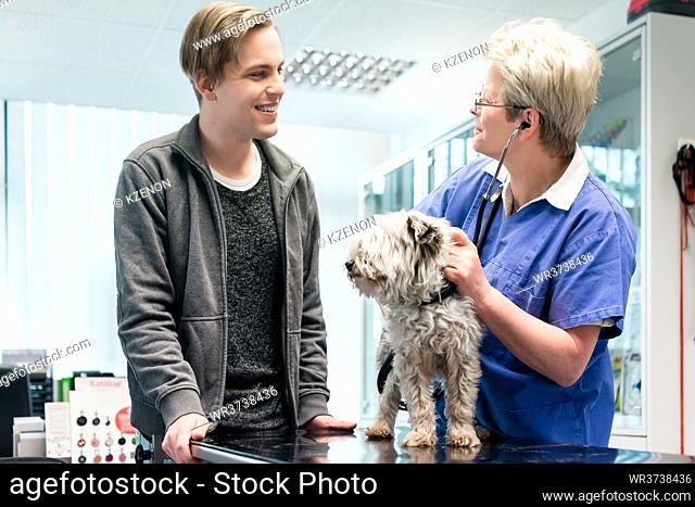 Smiling female doctor talking with dog owner in hospital