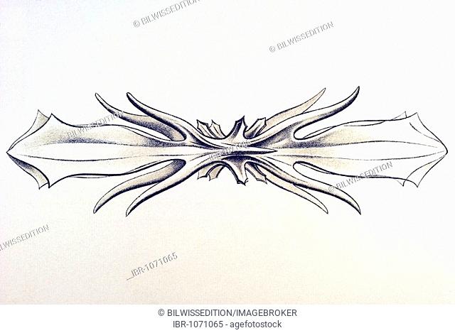 Historic illustration, tablet 21, title Acanthometra, marine protozoa, name Xiphaphacantha, 6/ Acantholonche peripolaris