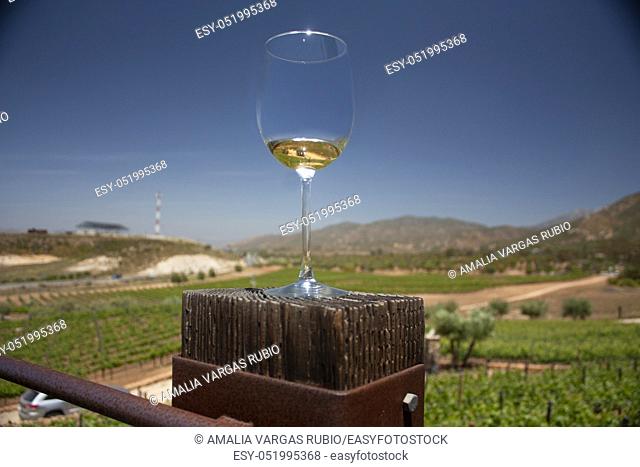 Glass served with white wine in mountainous landscape of vinicultural fields in Baja California Mexico