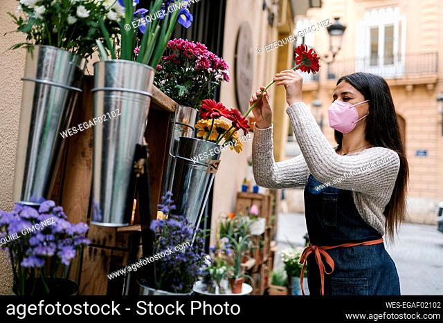 Young female florist with protective face mask arranging Gerbera Daisy flower at shop