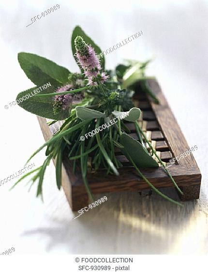 Still life with mixed herbs on a wooden bench