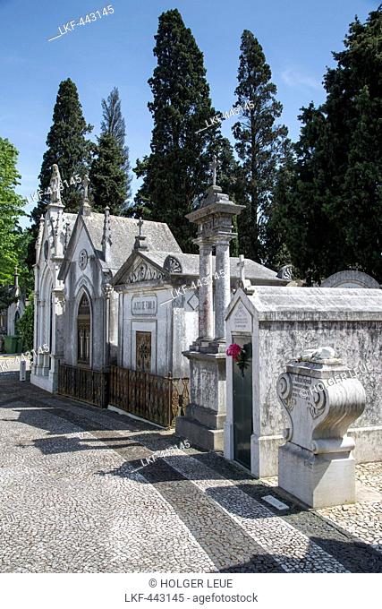 Tombs at Cemiterio dos Prazeres cemetary in Prazeres disctrict, Lisbon, Lisboa, Portugal
