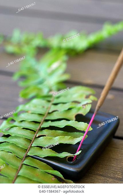 Fern and incense