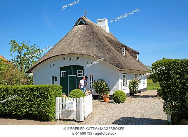 House with a thatched roof in Sieseby on the Schlei Inlet, Schleswig-Holstein, Germany, Europe
