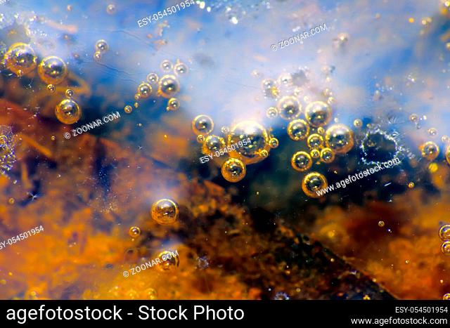 A stagnant water body and its surface. Rotten algae on the bottom and bubbles of marsh gas. Window into world of ultra macro