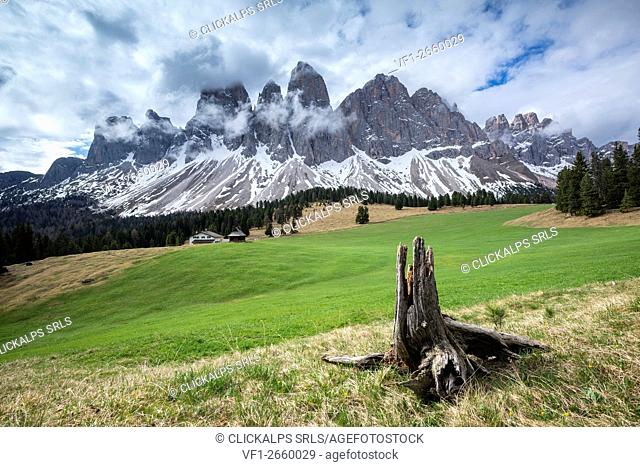 Funes Valley, Dolomites, South Tyrol, Italy. View from Malga Glatsch to the peaks of the Odle