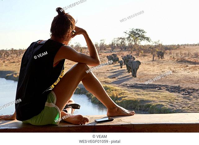 Woman watching a herd of elephants in the river from a viewpoint, Hwange National Park, Zimbabwe