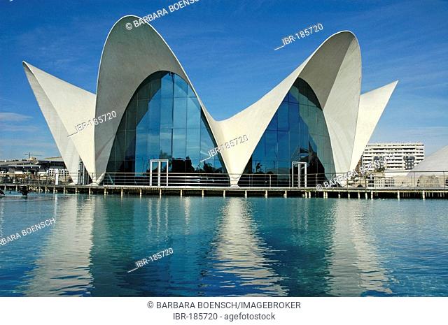 Aquarium, L`Oceanografic, City of arts and sciences, Ciudad de las Artes y las Ciencias, Valencia, Spain