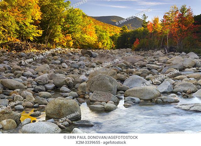 Autumn foliage along the East Branch of the Pemigewasset River in Lincoln, New Hampshire during the autumn months