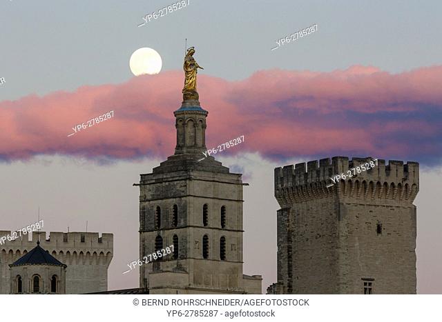 Papal palace (Palais des Papes) and cathedral Notre Dame with full moon, Avignon, France