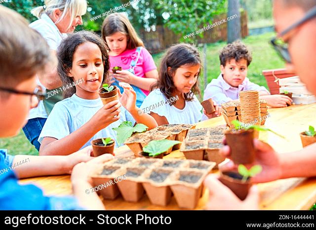 Gruppe Kinder in der Sommerschule lernen in Biologie die Anzucht von Pflanzen