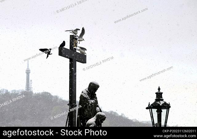 Seagulls on a snow-covered sculpture on the Charles Bridge in Prague, Czech Republic, pictured on November 26, 2023. In the foreground is seen the statue of...