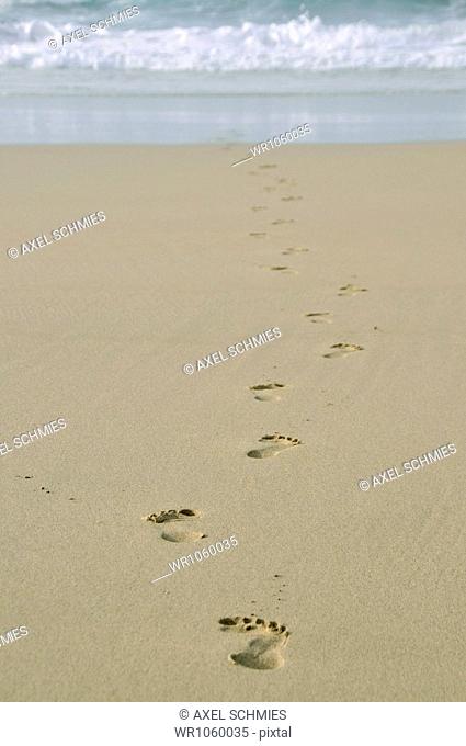 Footprints in the sand, Fuerteventura, Canary Islands, Spain, Europe