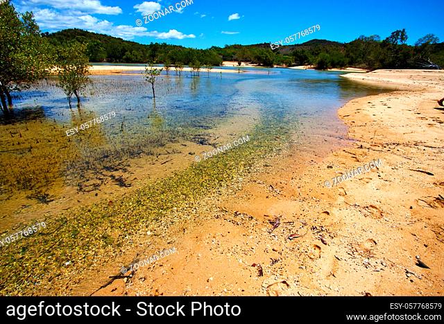 river in the blue lagoon relax and bush in madagascar coastline nosy iranja