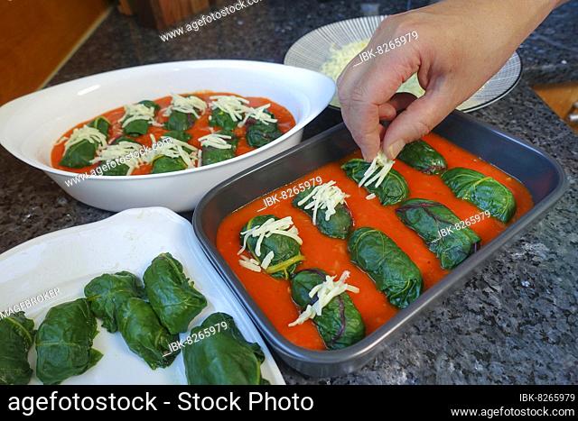 Swabian cuisine, preparing Bietigheim leaf frogs in paprika sauce, sauce, stuffed chard leaves in paprika sauce are sprinkled with cheese, grated hard cheese