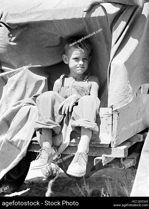 Child of an impoverished family from Iowa stranded in New Mexico, 1936. Creator: Dorothea Lange
