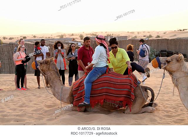 Camel ride in the dessert, Dubai, United Arab Emirates