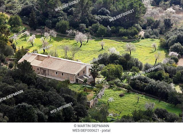 Spain, Balearic Islands, Majorca, View of puig de randa and blooming almond trees