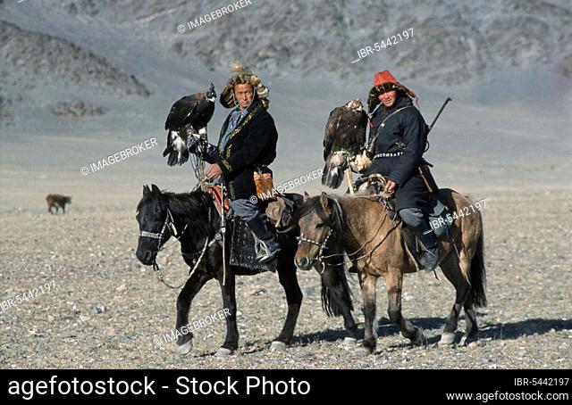Kazak men Golden Eagles (Aquila chrysaetos) capped with leather hoods, on horses, Golden Eagle Festival, province Bayan Olgiy, Mongolia, Asia