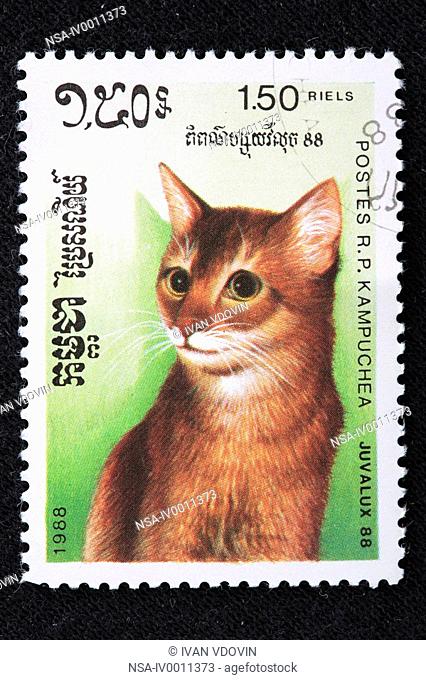 Cat, postage stamp, Cambodia Kampuchea, 1988