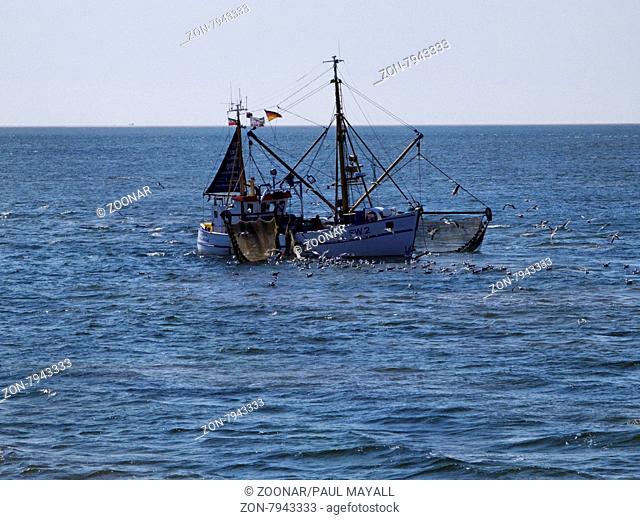 Shrimp Fishing Trawler Operating in the North Sea off the North Frisian Islands, Germany