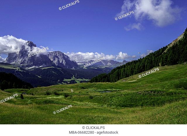 Paraglider and Sassolungo, Santa Cristina, Gardena Valley, Odle, Dolomites, Italy