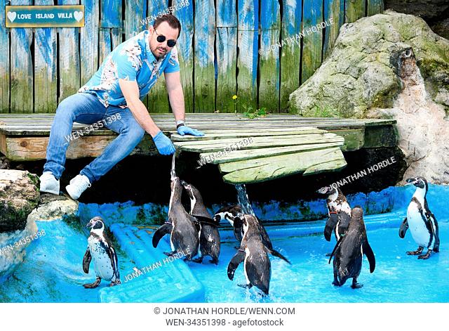 Danny Dyer visits Chessington World of Adventures Resort to launch Penguin Love Island, a four-part mini-series that follows the relationships of its...