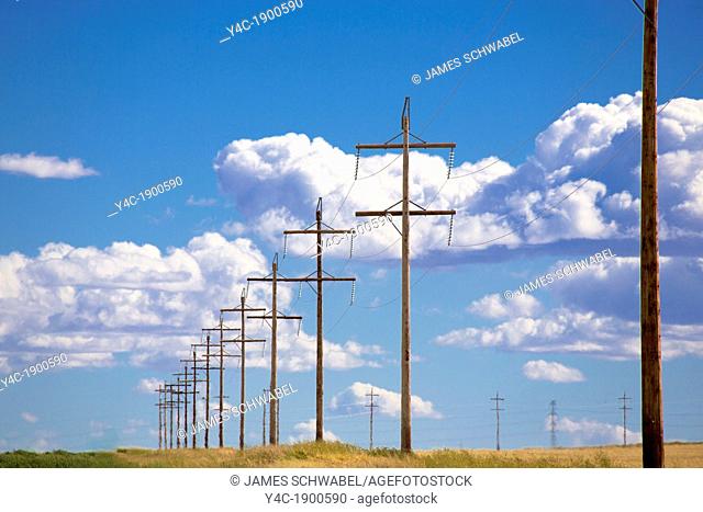 Line of electric poles on the prairie of Alberta Canada
