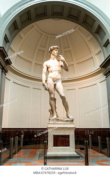 Florence, Accademia di Belle Arti, David by Michelangelo, original