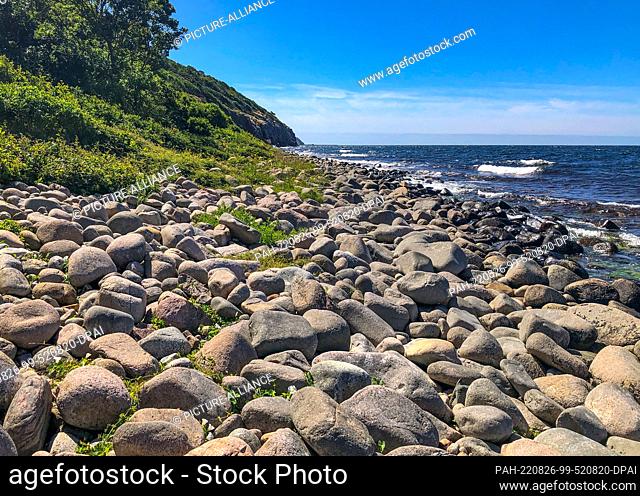 28 July 2022, Denmark, Vang: Landscape on the west coast near the ruins of the medieval fortress Hammershus on the Danish island in the Baltic Sea