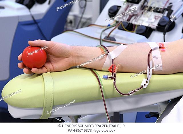 A stem cell donor during apheresis on a stretcher in the Institute for Transfusion Medicine in Chemnitz, Germany, 21 December 2016
