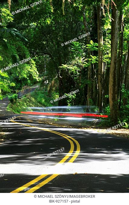 Rental car on tourist road Pepe'ekeo Four-Mile Scenic Drive, Big Island, Hawai'i, Hawaii, USA