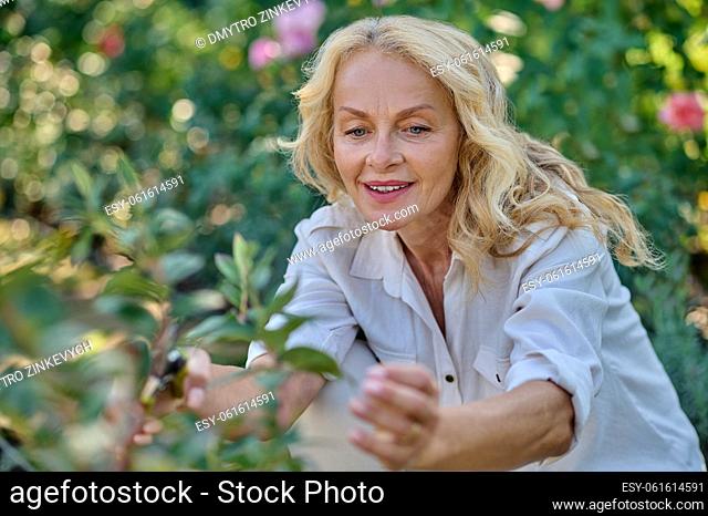 Care. Smiling inspired woman looking at leaves touching crouching near plant in her garden on fine day