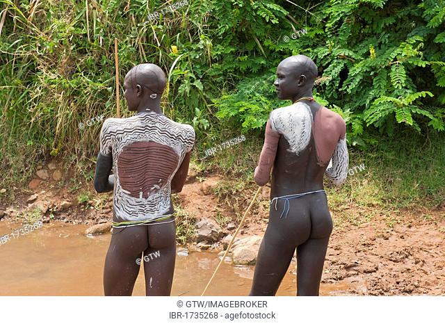 Surma men with body paintings on the back, Tulgit, Omo River Valley, Ethiopia, Africa