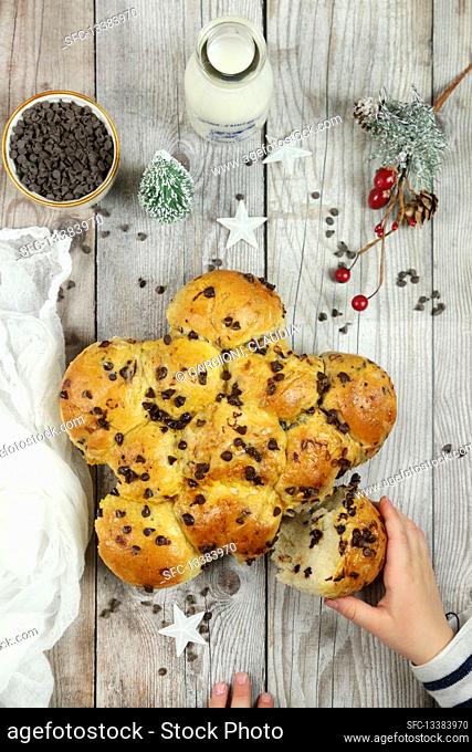 Sweet buns with chocolate chips for christmas