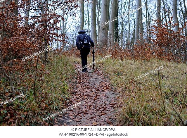26 November 2017, Mecklemburg-Vorpommern, Usedom: A young man walks through an autumn forest on the island of Usedom. Photo: Britta Pedersen/dpa-Zentralbild/ZB