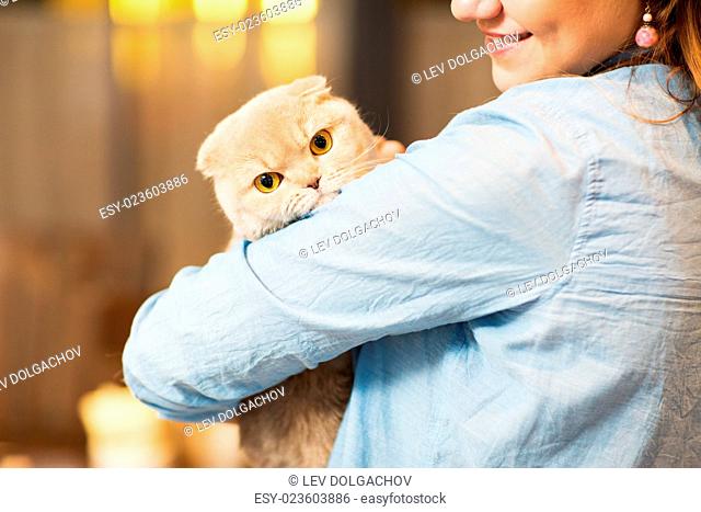 pet, animals, care and people concept - close up of happy woman holding scottish fold kitten at home