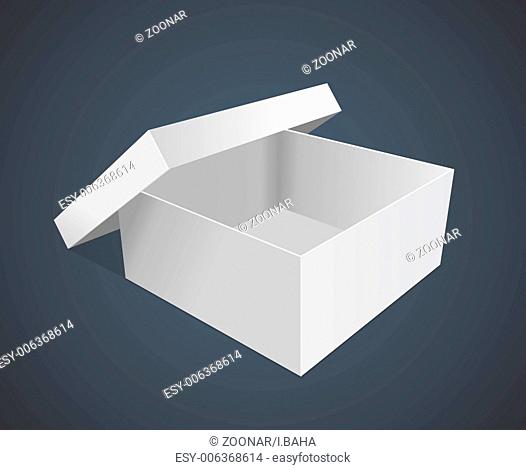 empty paper box vector illustration
